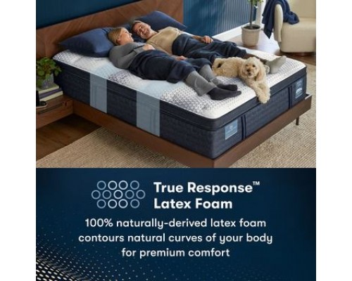   iComfortPro Buckingham Plush Pillow Top Mattress