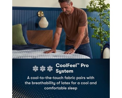   iComfortPro Buckingham Plush Pillow Top Mattress